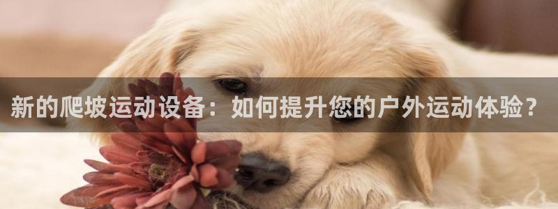 BWIN体育官网下载招商电话地址是多少：新的爬坡运动