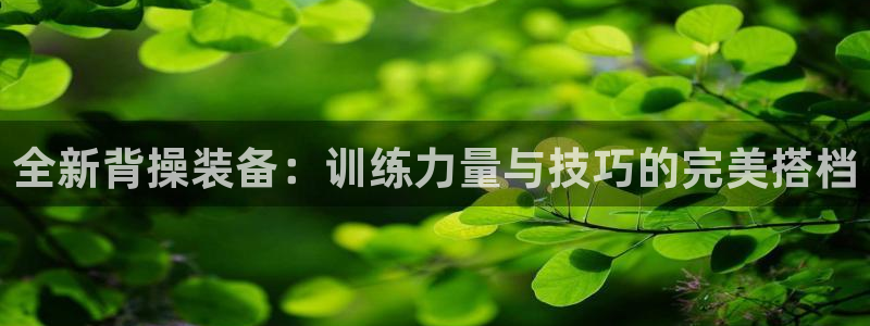 BWIN体育官方正版app神州：全新背操装备：训练力