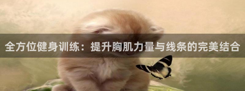 BWIN体育官方正版app集团简介：全方位健身训练：
