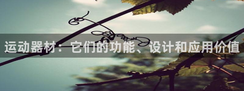 BWIN体育官方正版app娱乐平台：运动器材：它们的