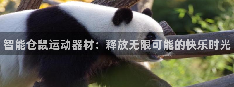 BWIN体育官方正版app代理
