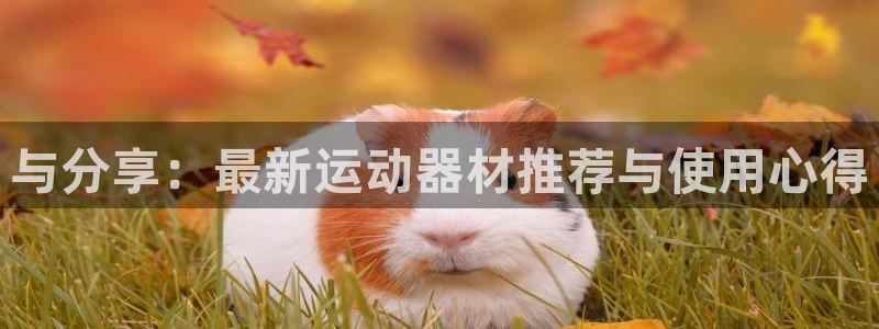 BWIN体育官网下载软件：与分享：最新运动器材推荐与使用心得