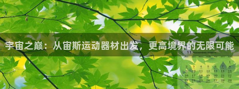 BWIN体育官网下载平台注册要钱吗安全吗：宇宙之巅：从宙斯运