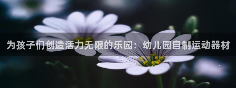 BWIN体育官网下载招商：为孩子们创造活力无限的乐园