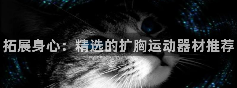 BWIN体育官网下载平台：拓展身心：精选的扩胸运动器材推荐