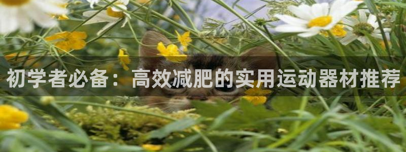 BWIN体育官网下载软件