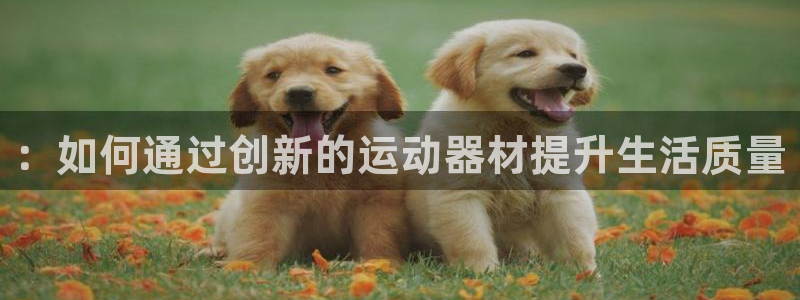 BWIN体育官网下载招商电话是多少啊：：如何通过创新的运动器