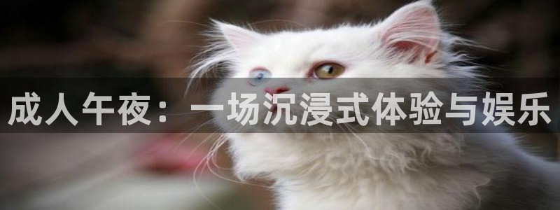 柠檬体育直播在线观看免费：成人午夜：一场沉浸式体验与娱乐