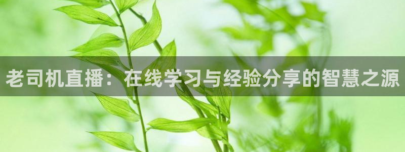 柠檬nba篮球免费直播：老司机直播：在线学习与经验分享的智慧之源