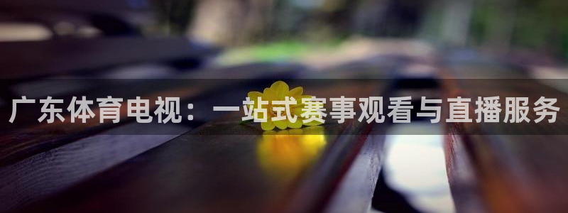 柠檬直播足球免费：广东体育电视：一站式赛事观看与直播服务