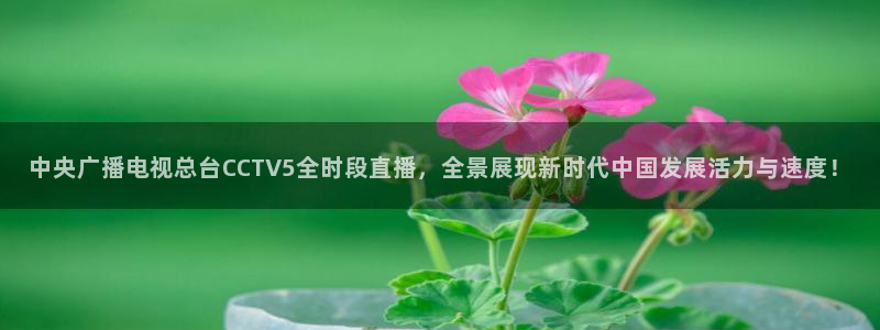柠檬体育免费直播：中央广播电视总台CCTV5全时段直播，全景展现新时代中国发展活力与速度！