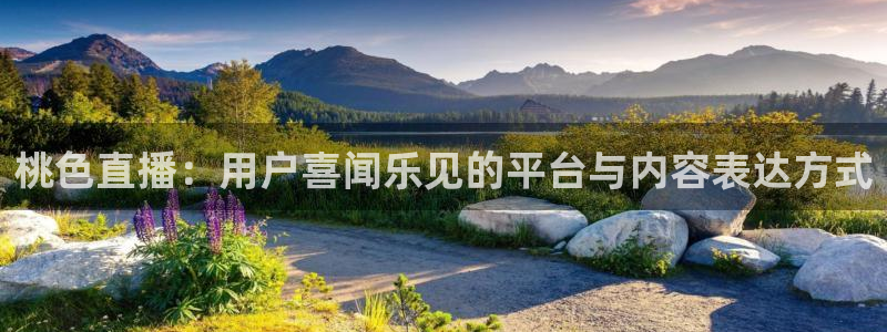 柠檬大秀直播：桃色直播：用户喜闻乐见的平台与内容表达方式