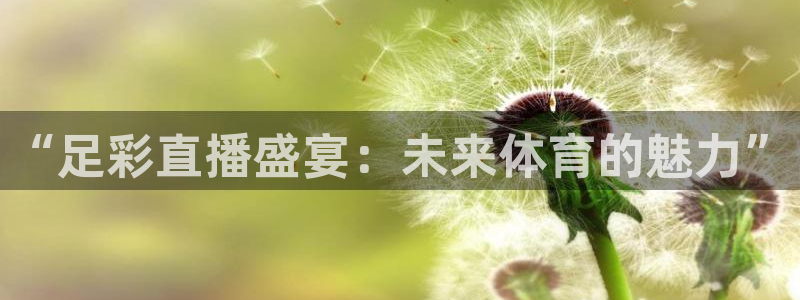柠檬足球比赛直播：“足彩直播盛宴：未来体育的魅力”