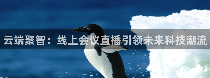 柠檬直播nba体育：云端聚智：线上会议直播引领未来科技潮流