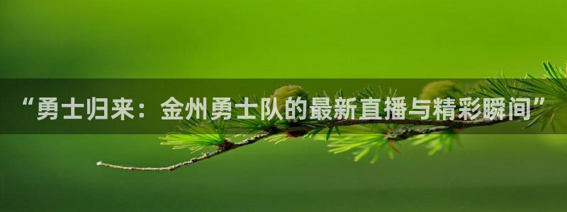 柠檬免费足球直播：“勇士归来：金州勇士队的最新直播与精彩瞬间”